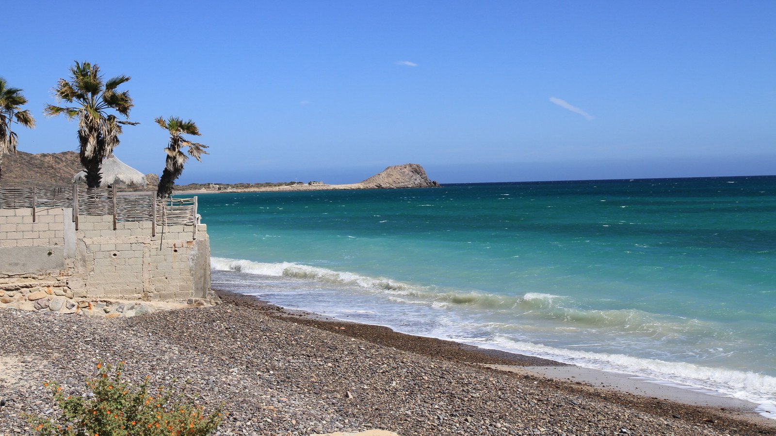 Turquoise water meeting a quiet pebble beach with palm trees and a rocky headland on the Baja California Sur coast
