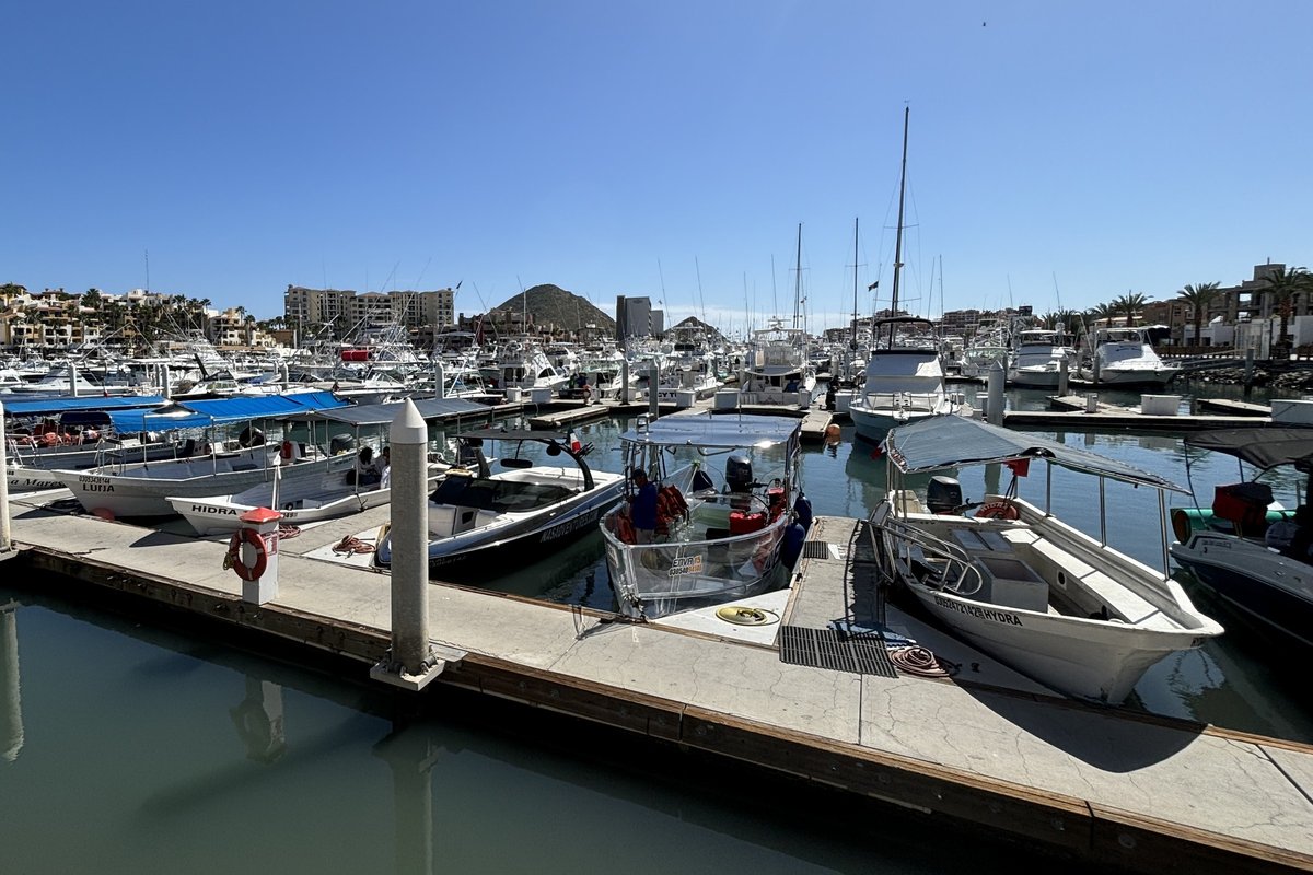 Small boats and sport-fishing yachts tied up along the docks of a sunny marina in Cabo San Lucas, Mexico