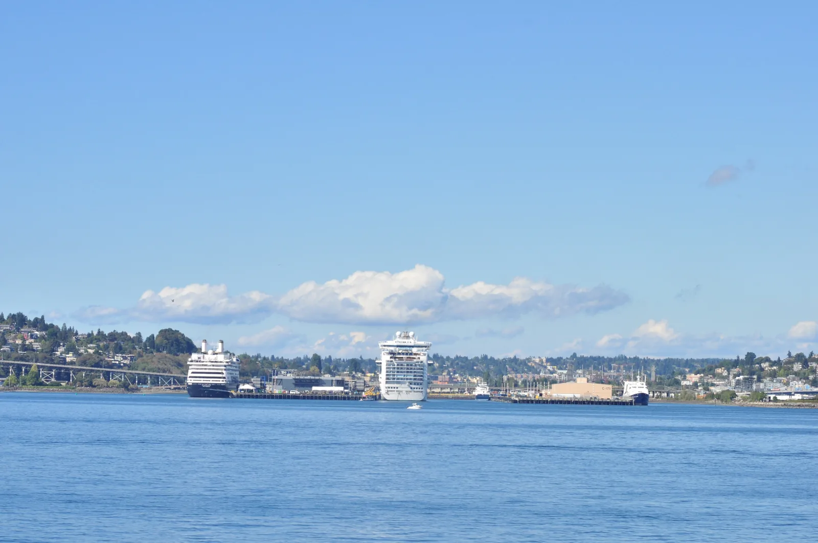 Cruise ships docked at Smith Cove in Seattle seen across Elliott Bay
