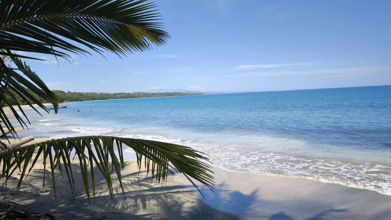Palm fronds over a quiet tropical beach