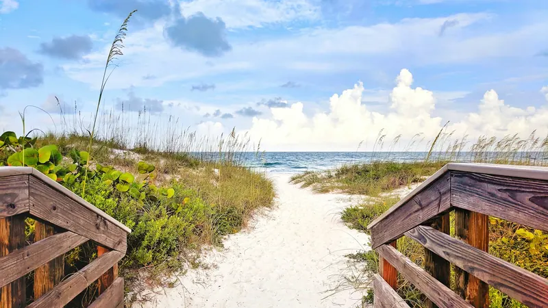 Sandy path between wooden rails through the dunes to the ocean