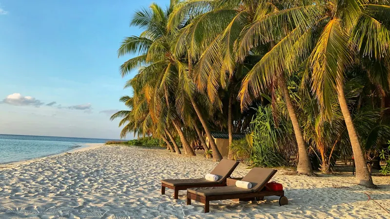Two wooden loungers on white sand under palm trees beside a calm sea
