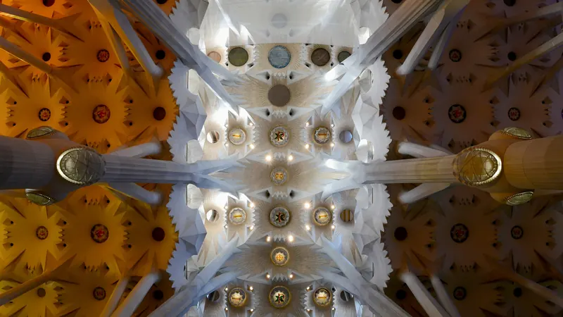 Looking up at the tree-like columns and starburst ceiling inside the Sagrada Família