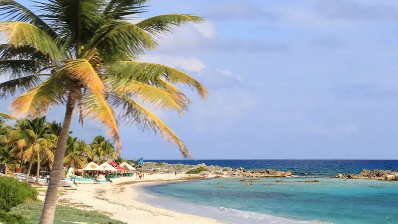 Palm-shaded beach and turquoise water on Cozumel