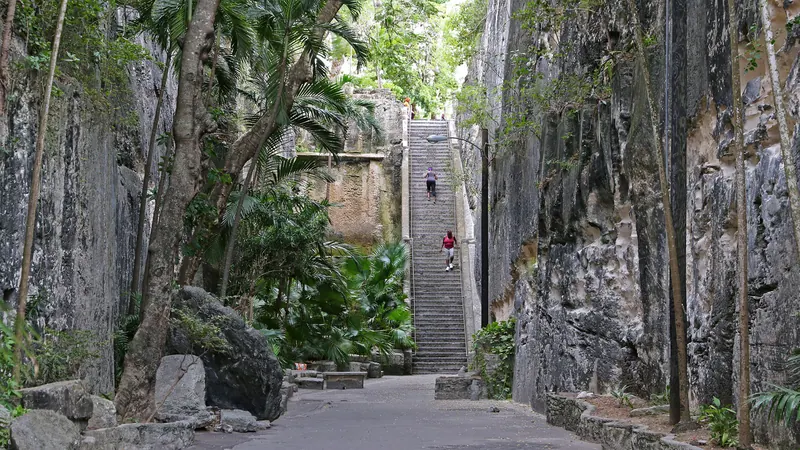 The historic Queen's Staircase cut into limestone and shaded by trees in Nassau